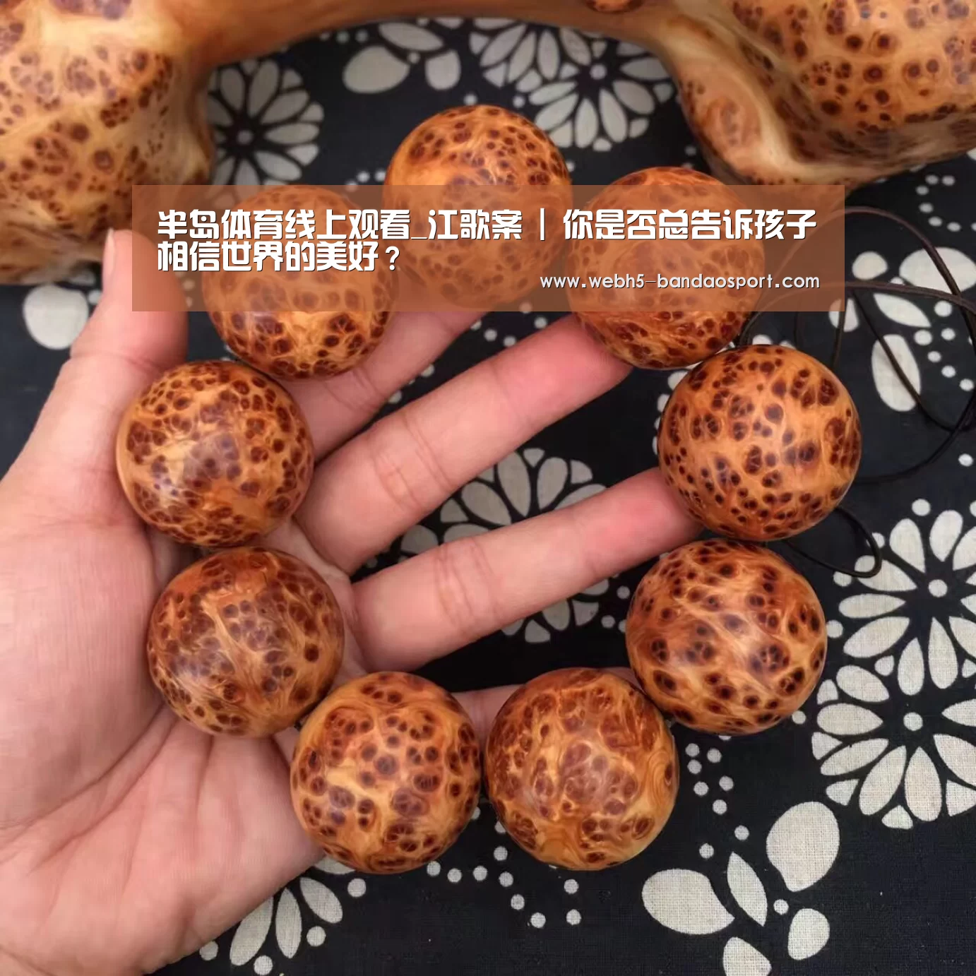 半岛体育线上观看