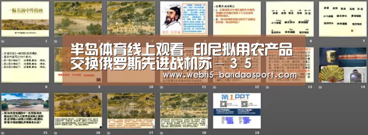 半岛体育体育网